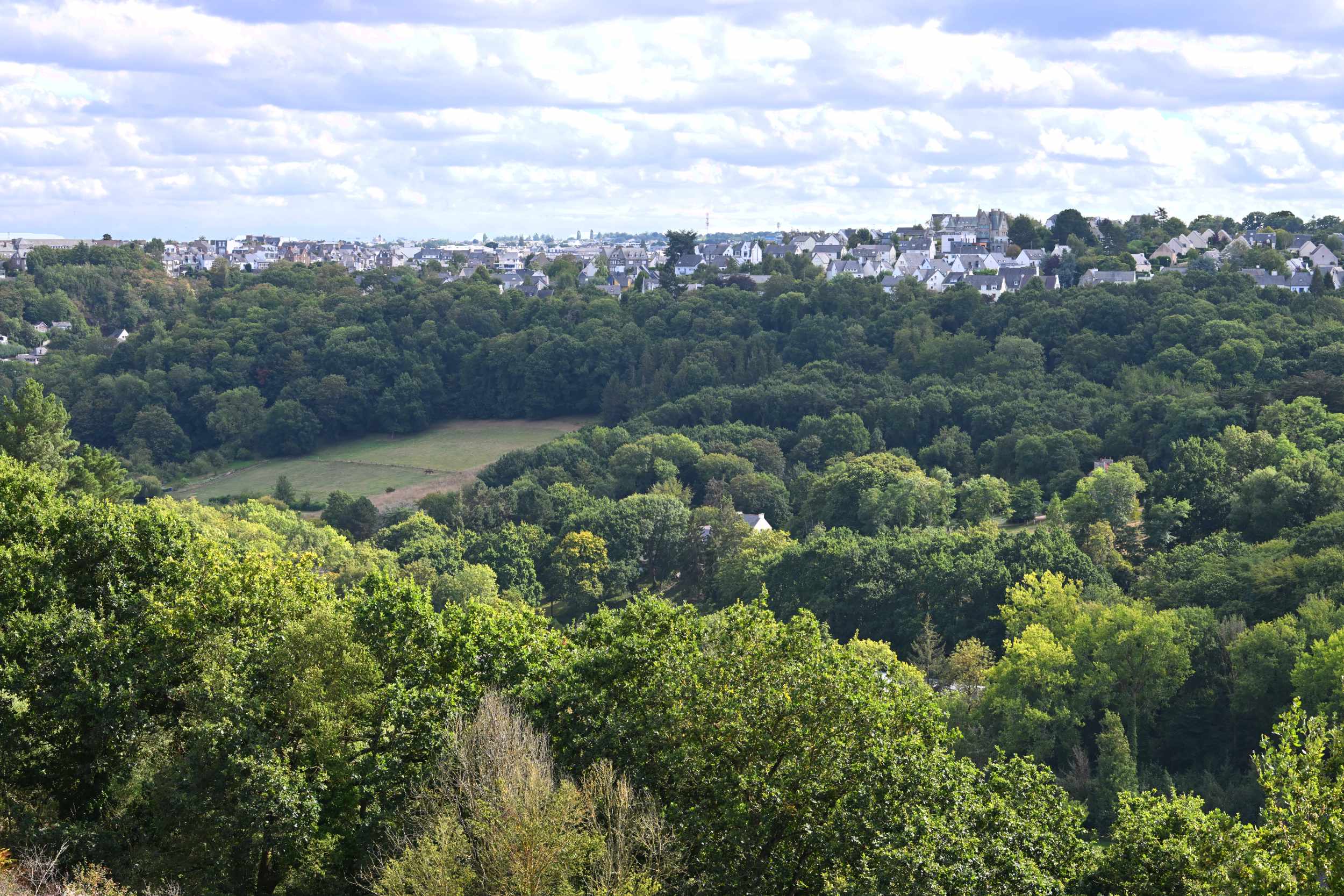 La vallée arborée et l’horizon dégagé vus depuis la maison